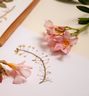 high-angle-hand-holding-flower high-angle-hand-holding-flower